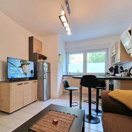 Apartment Hauptbahnhof Universitaetsklinikum Messe Evonik *